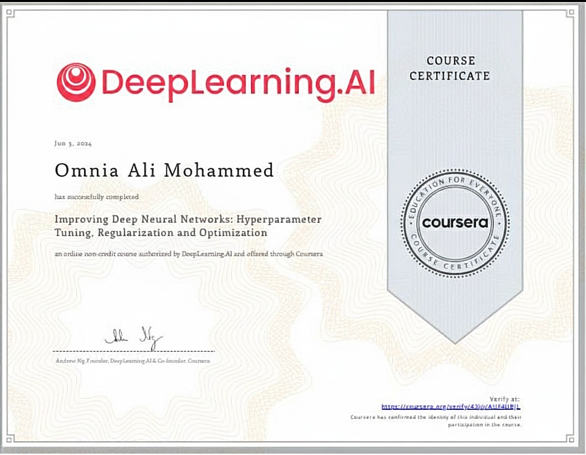 Improving Deep Neural Networks certificate
